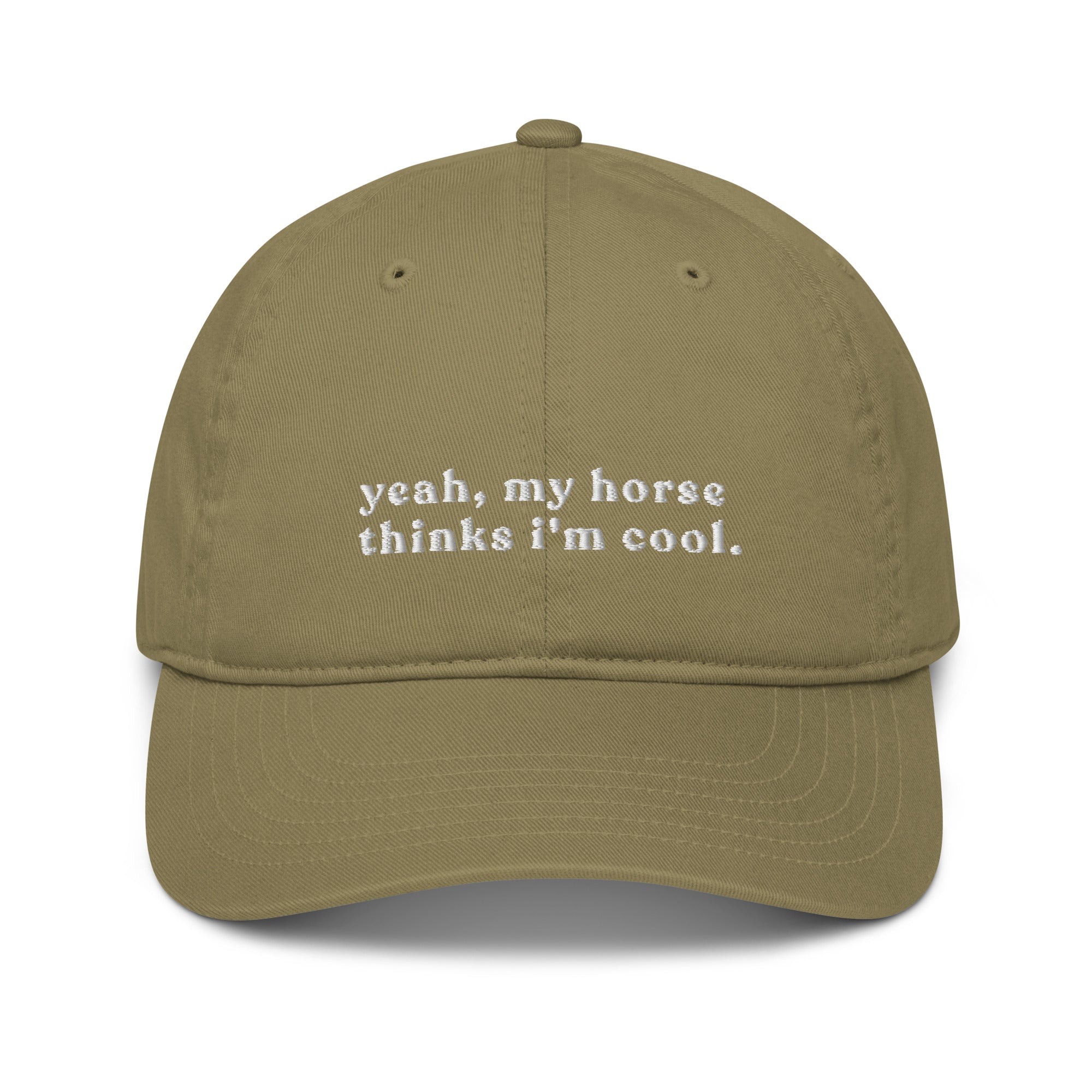 'my horse thinks i'm cool' | cap stick