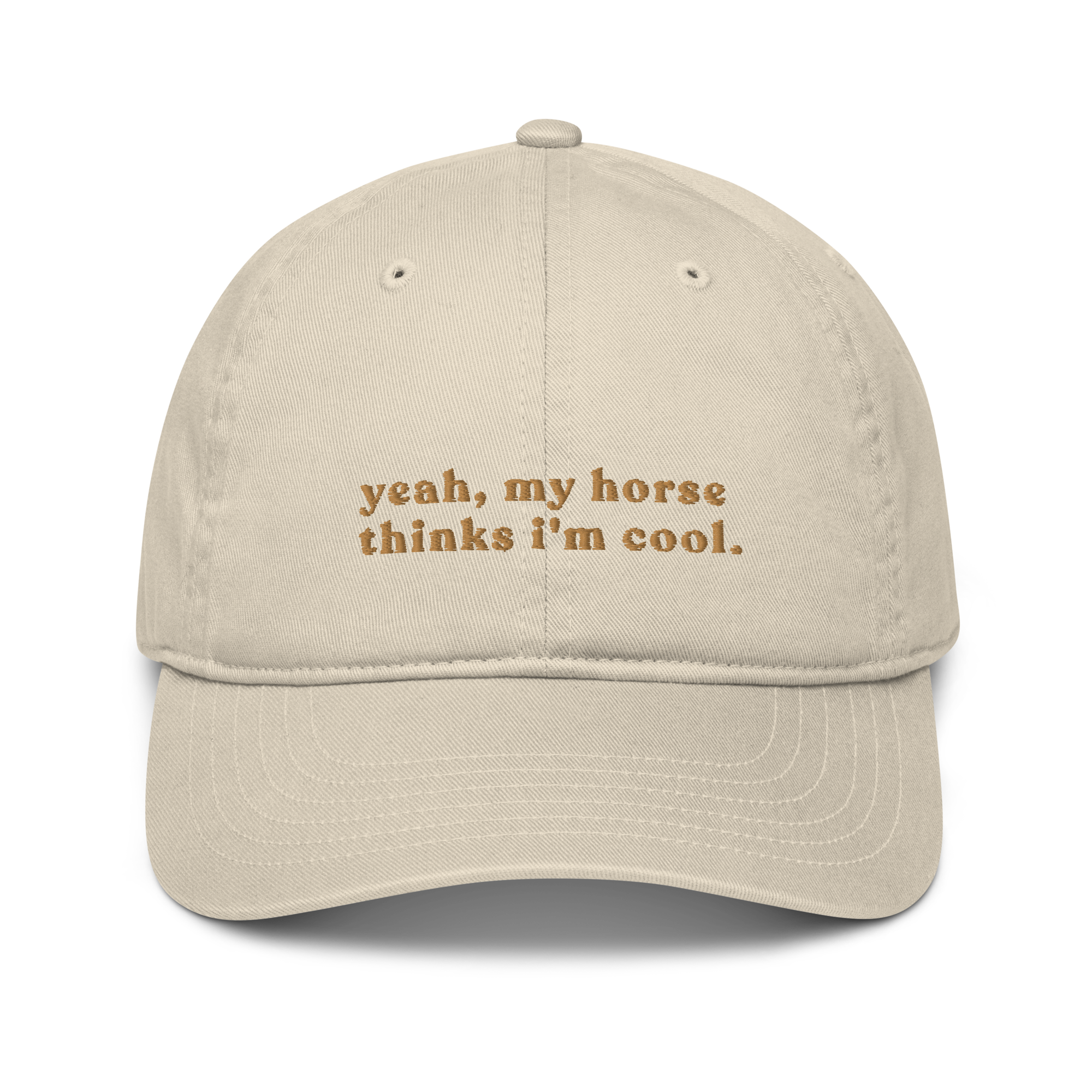 'my horse thinks i'm cool' | cap stick