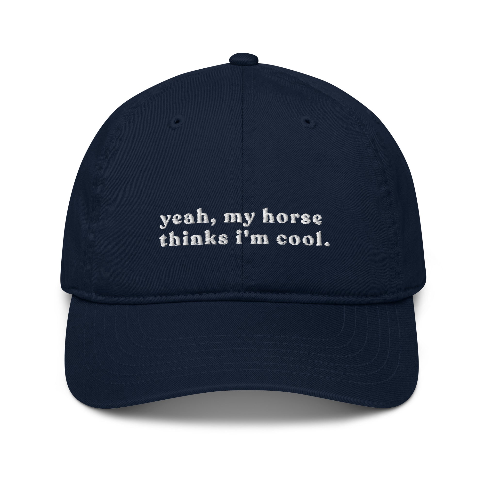 'my horse thinks i'm cool' | cap stick