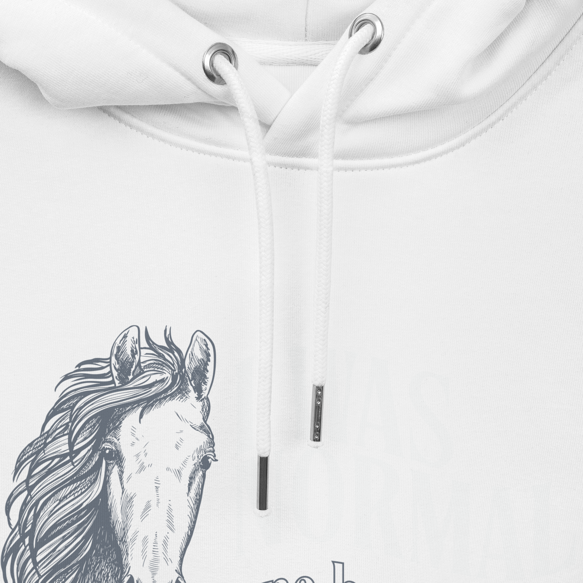 'I was normal one horse ago' | hoody aus bio-baumwolle